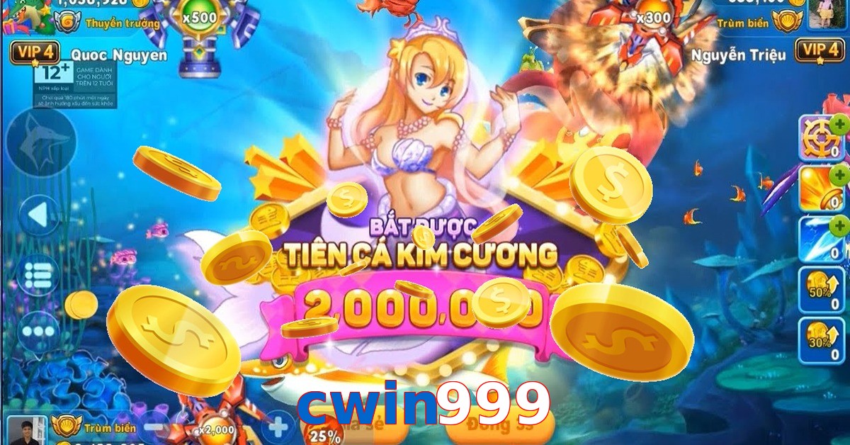 cwin999